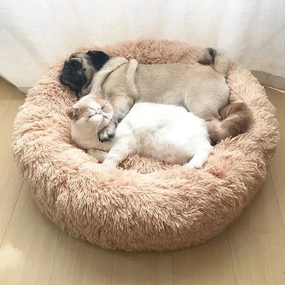 Cama Dona Suave y Lavable para Gatos, Máximo Confort